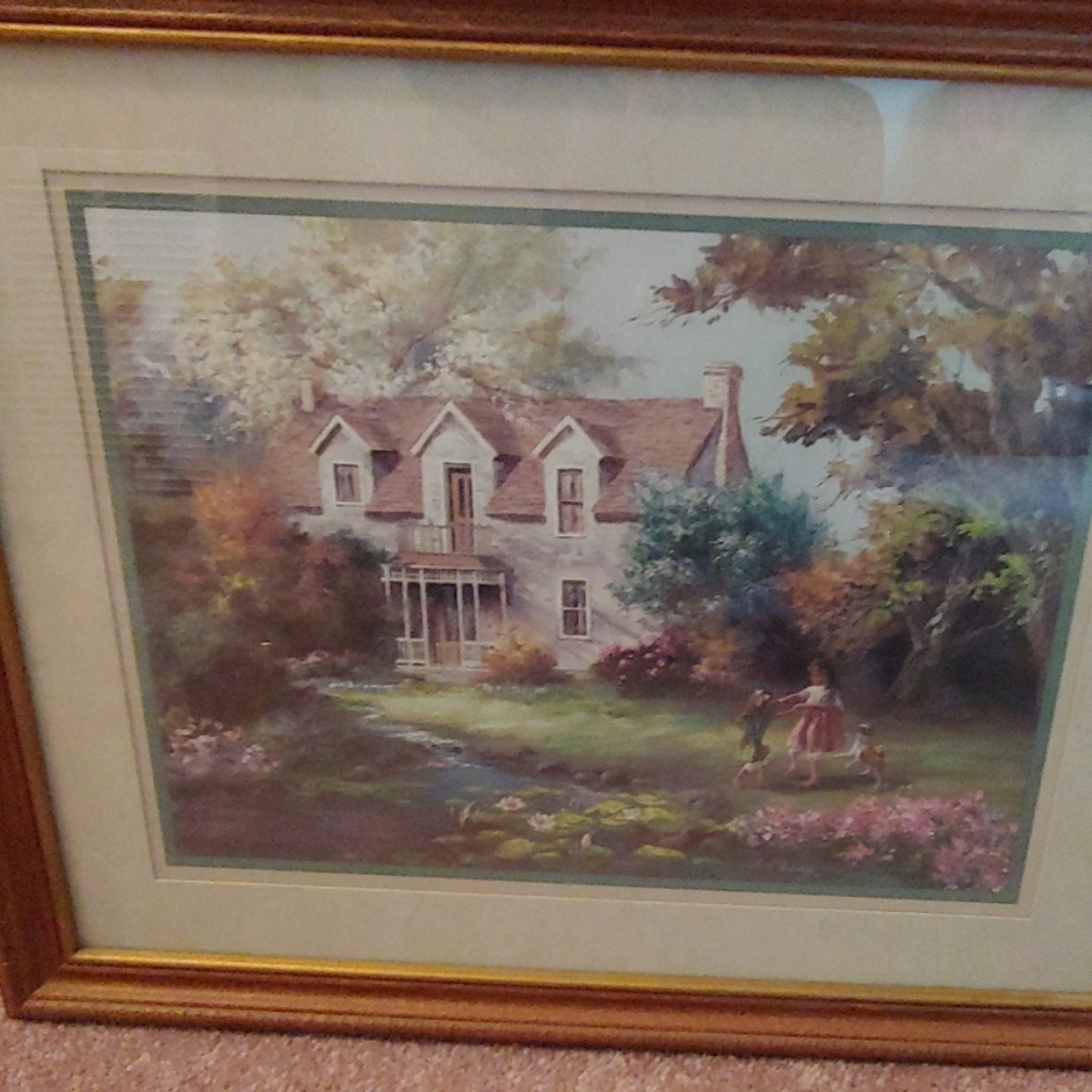 Framed Picture